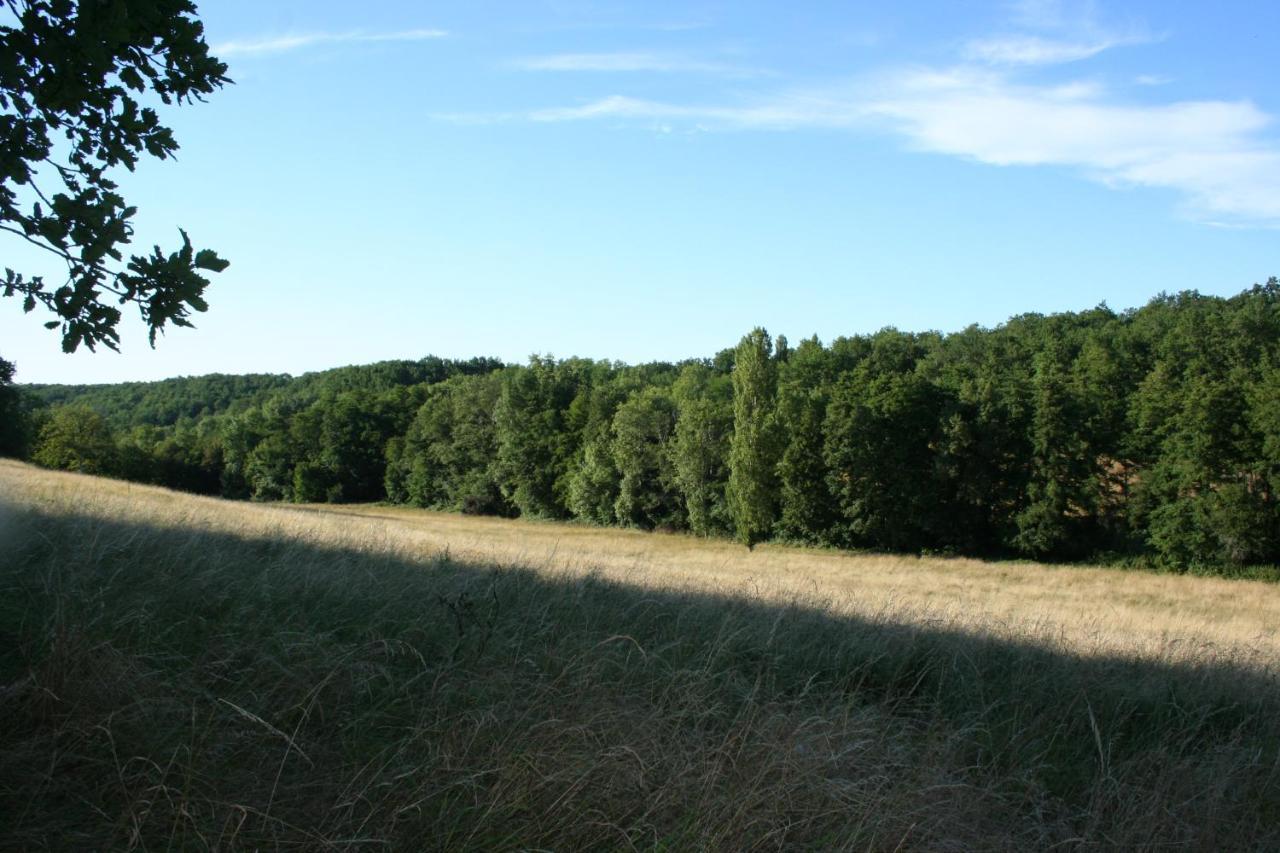 L'Insoliste Bed and Breakfast Razac-de-Saussignac Exteriör bild